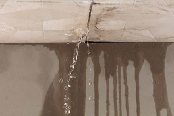Professional Structural Drying technician working in Bellevue, MI